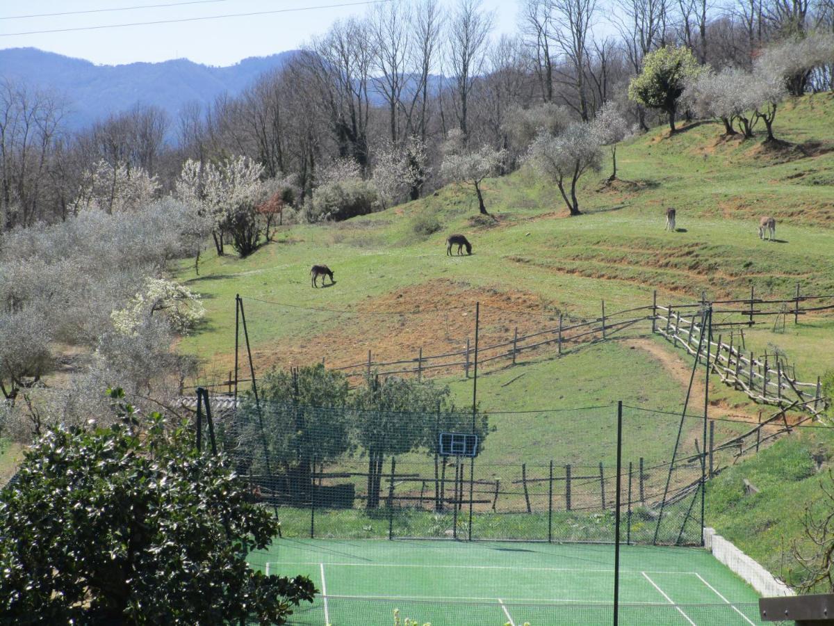 Podere La Piana Fivizzano Kültér fotó